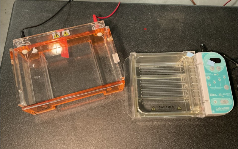 Gel electrophoresis Unit & Molding tray