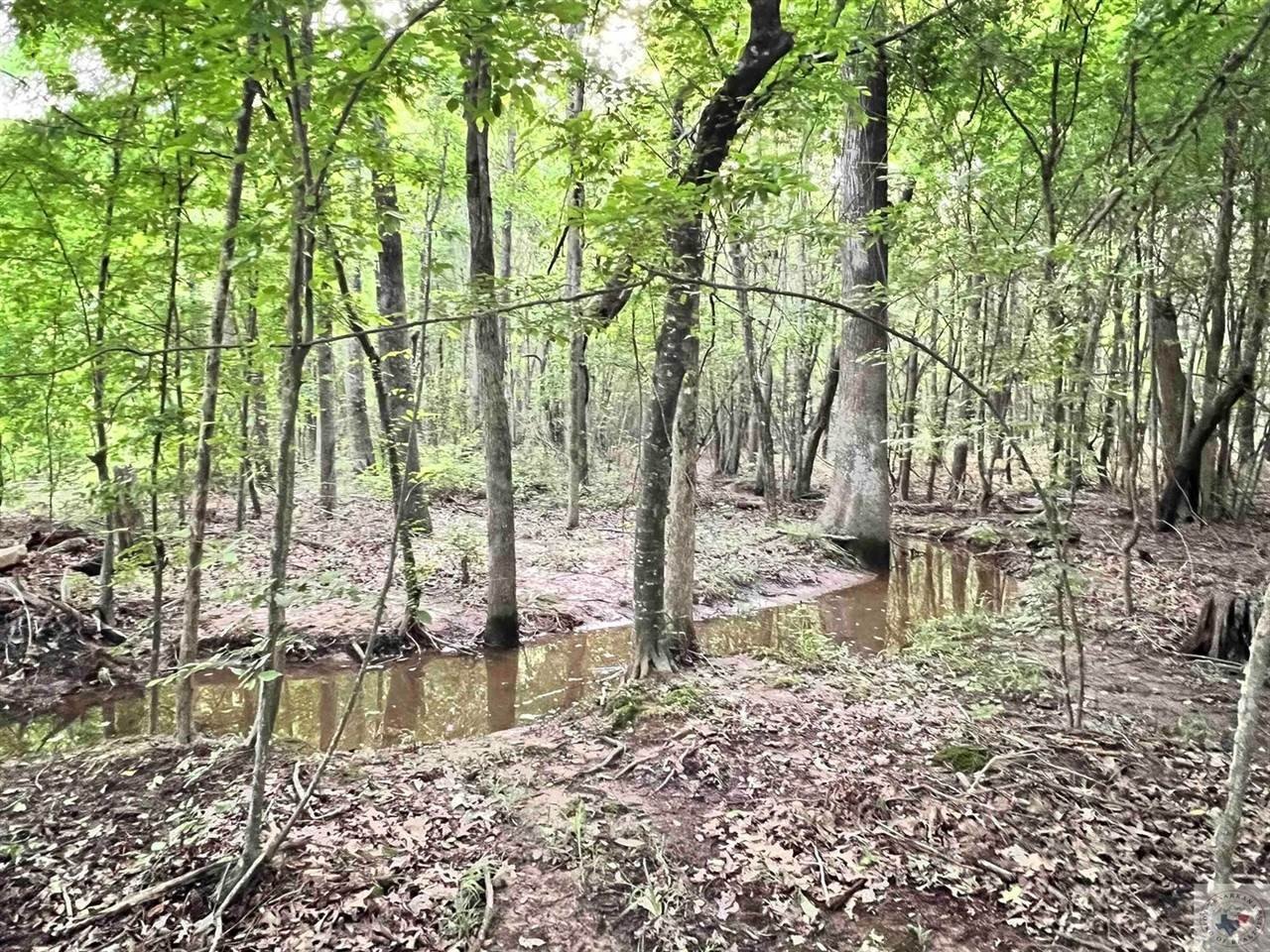 Other - 0 Miller County 244, Fouke, AR