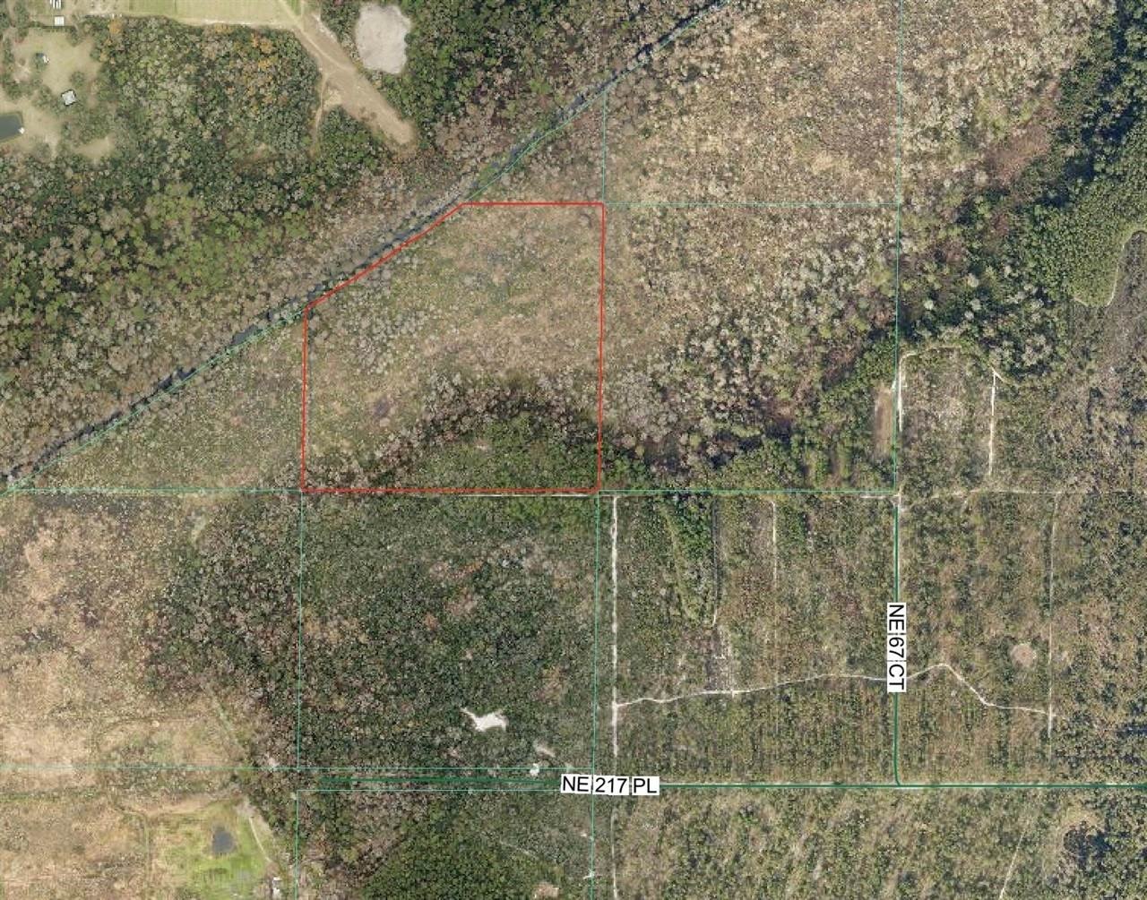 Other - 0 NE 217TH PL, Citra, FL