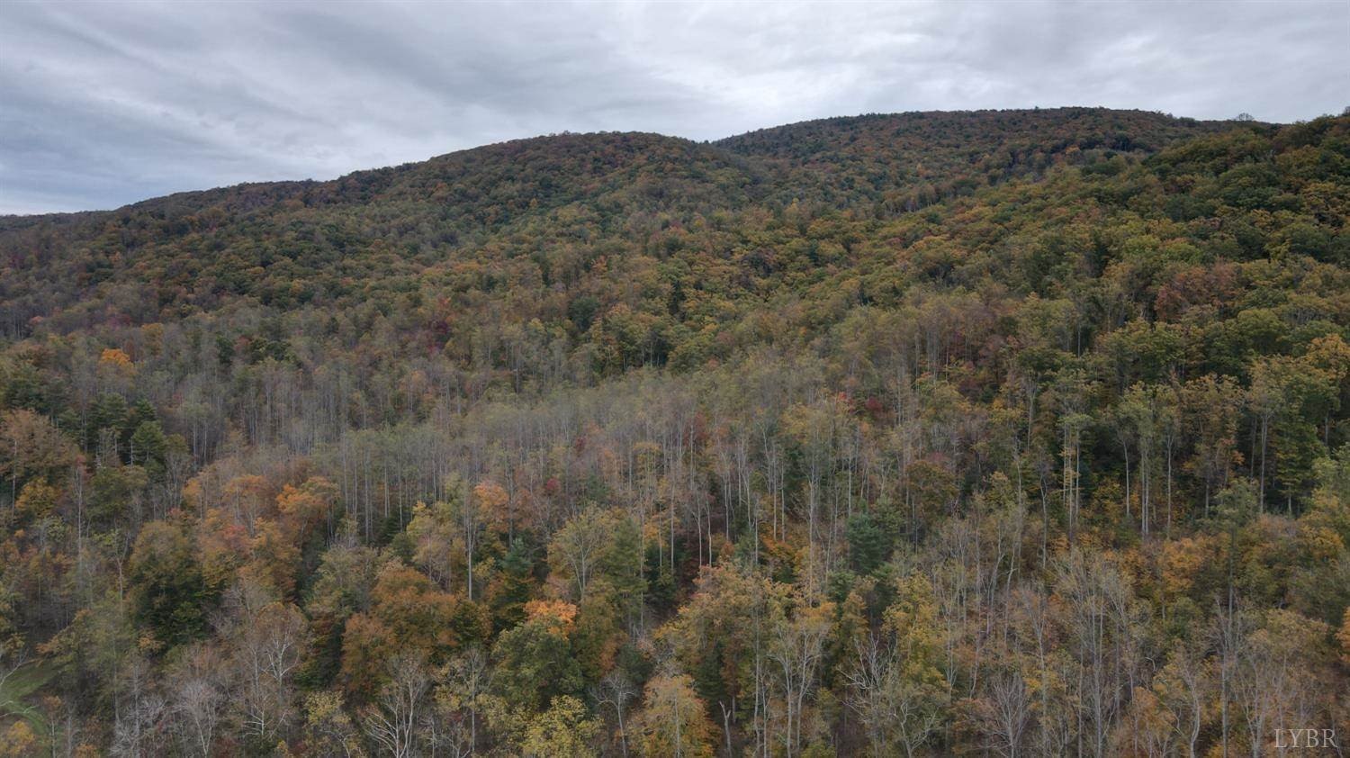 Other - 0 North Fork Road, Amherst, VA