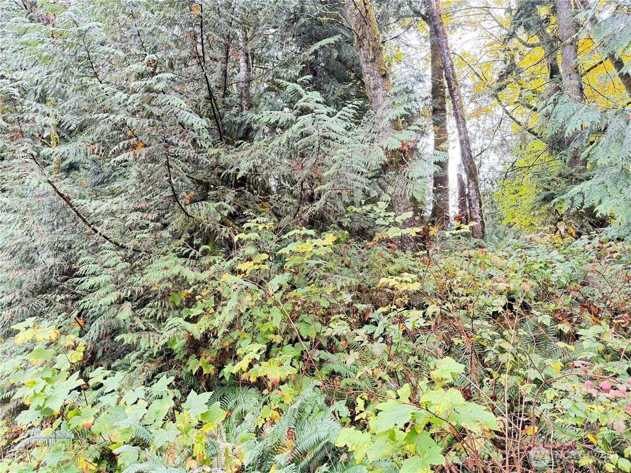 Other - 1 West Alder Drive, Sedro Woolley, WA