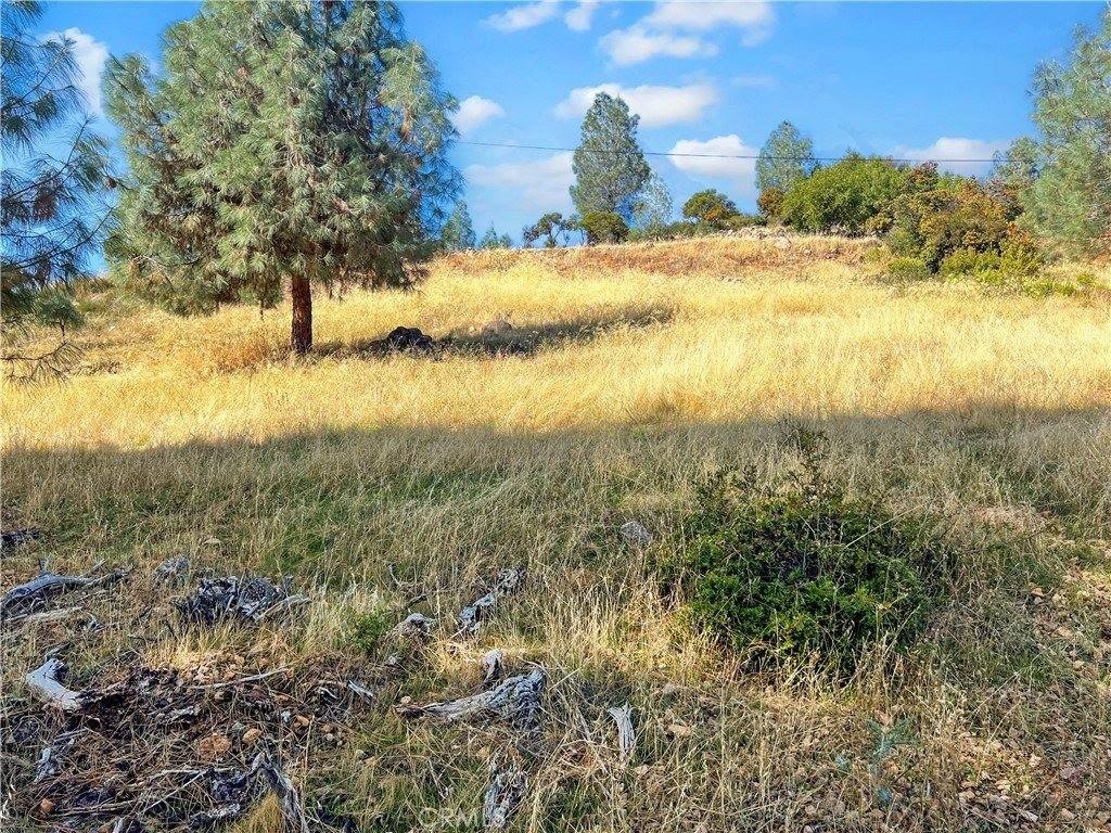 Other - 10203 El Capitan, Kelseyville, CA