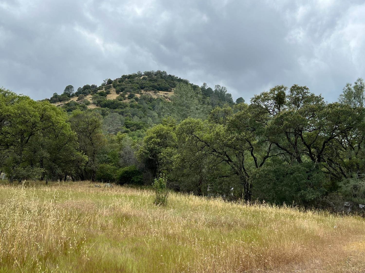 Other - 10840 Pool Station Road, Angels Camp, CA
