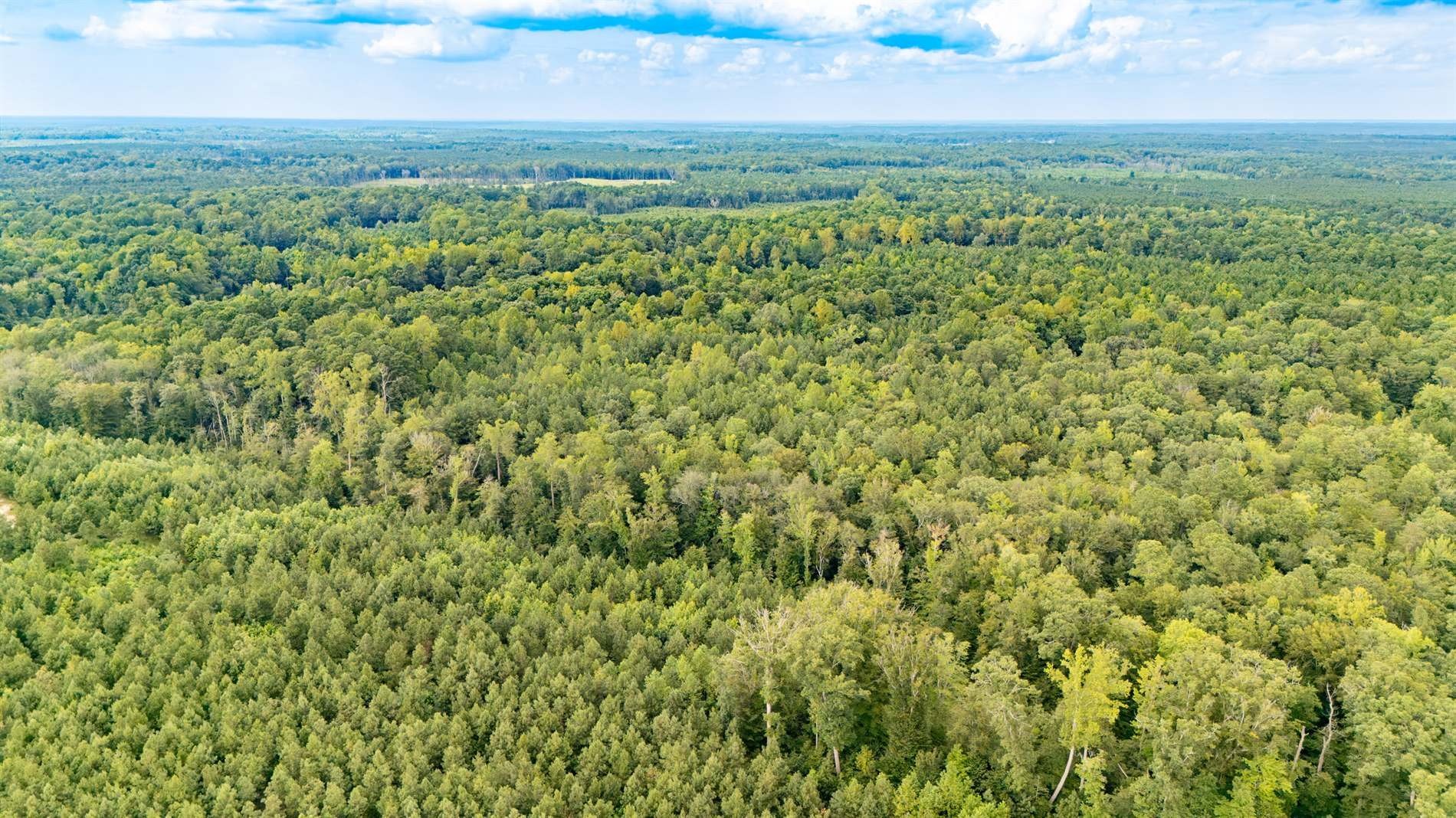 Other - 10.88 AC Beech Creek Road, Gloucester County, VA