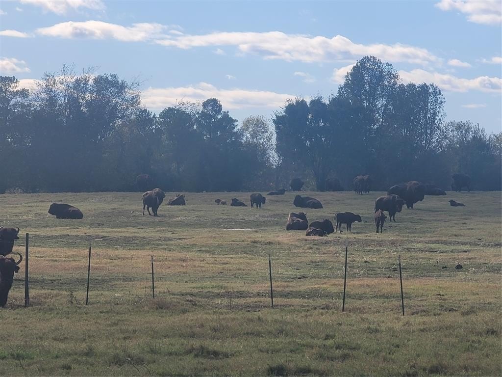 Other - 12403 FM 1975, Gilmer, TX