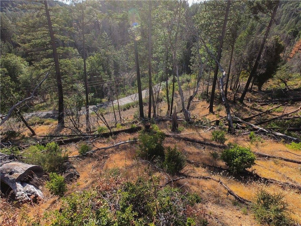 Other - 13627 View Road, Cobb, CA