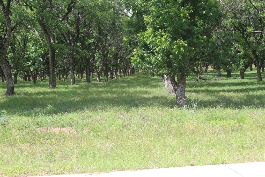 Other - 200 Poco Bueno Court, Granbury, TX