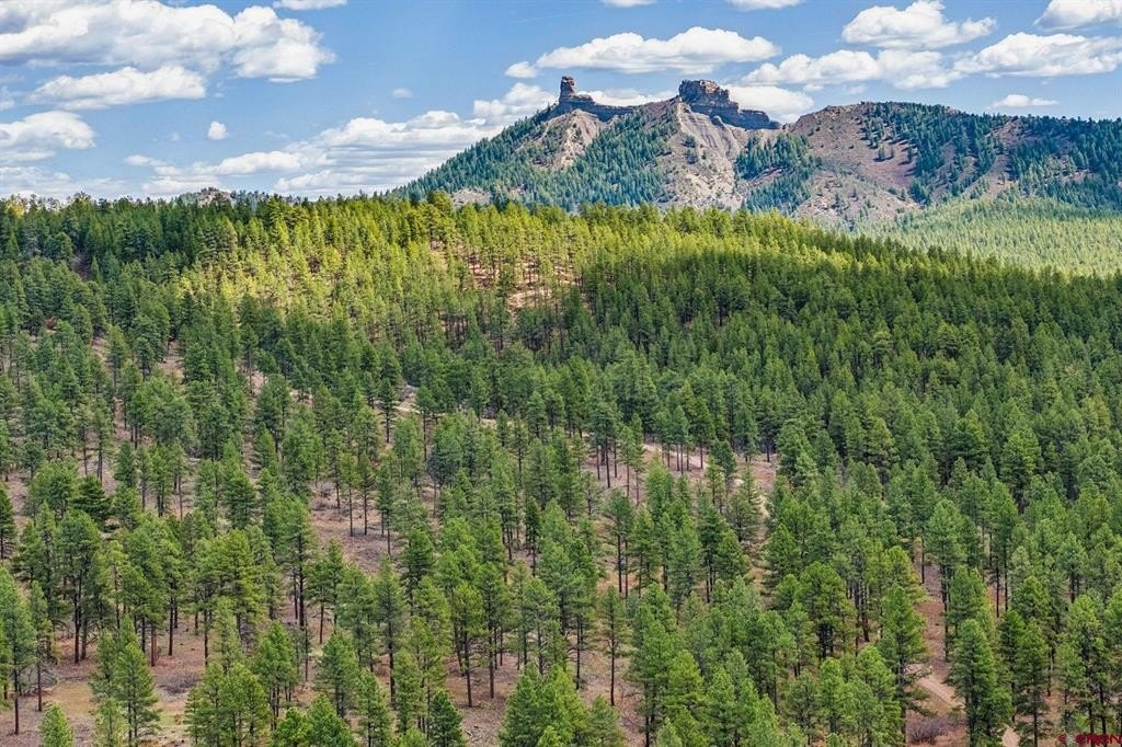 Other - 20861 Hwy 160, Bayfield, CO