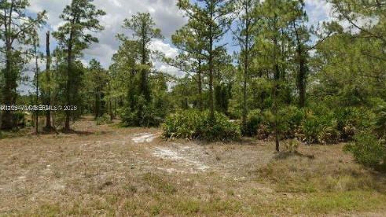 Other - 2321 Macarthur Ave, Lehigh Acres, FL