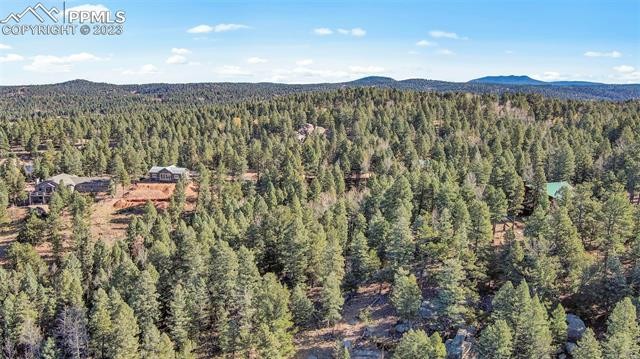 Other - 2700 N Mountain Estates Road, Florissant, CO