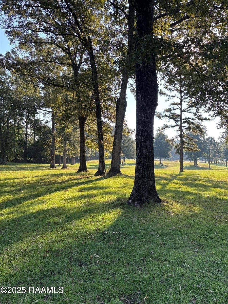 Other - 399 Ahtus Melder Road, Forest Hill, LA