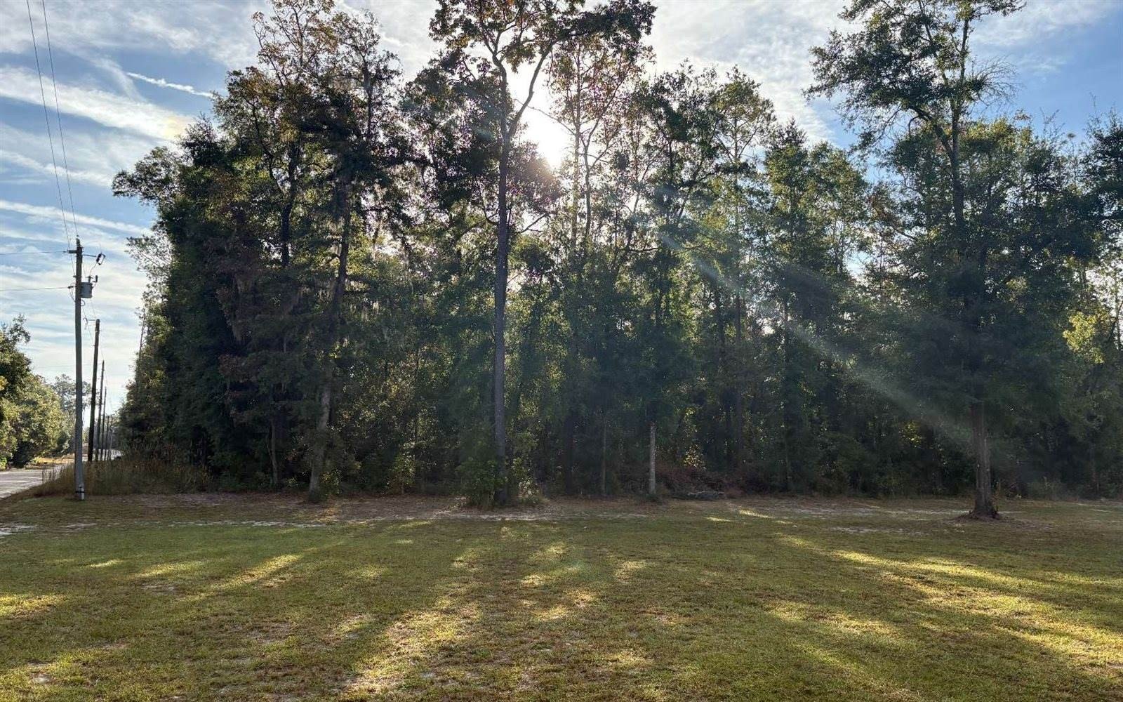 Other - 544 SW Kentucky Street, Fort White, FL
