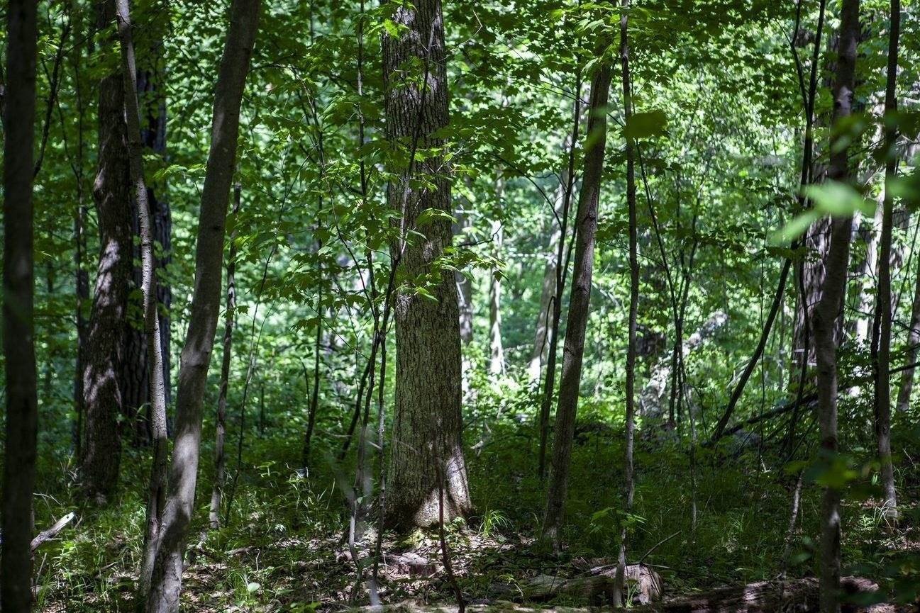 Other - 80 Acres COUNTY ROAD V, Deerfield, WI