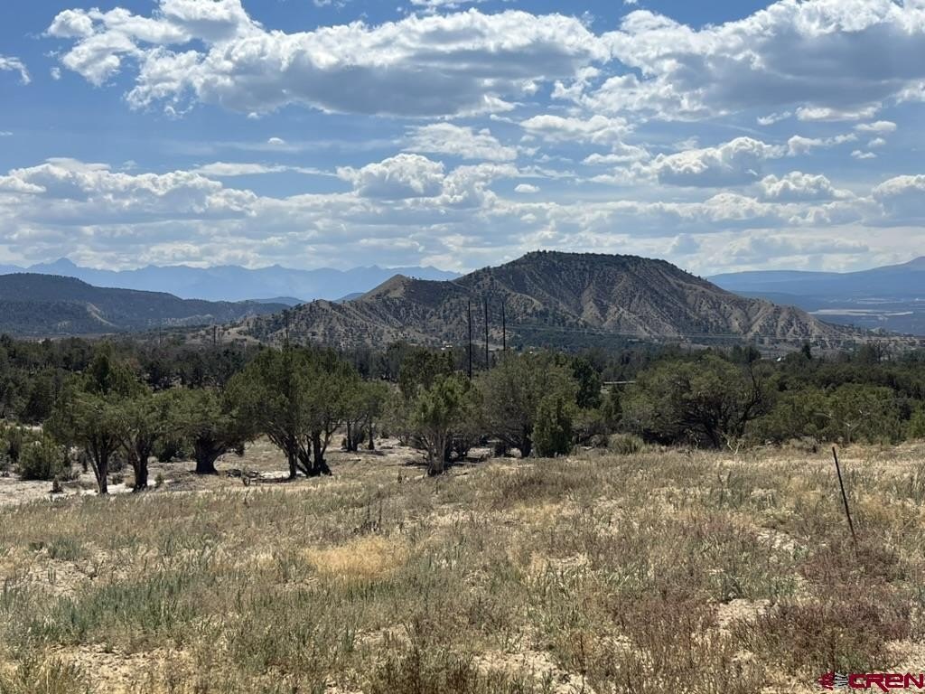 Other - Buckhorn Road, Montrose, CO