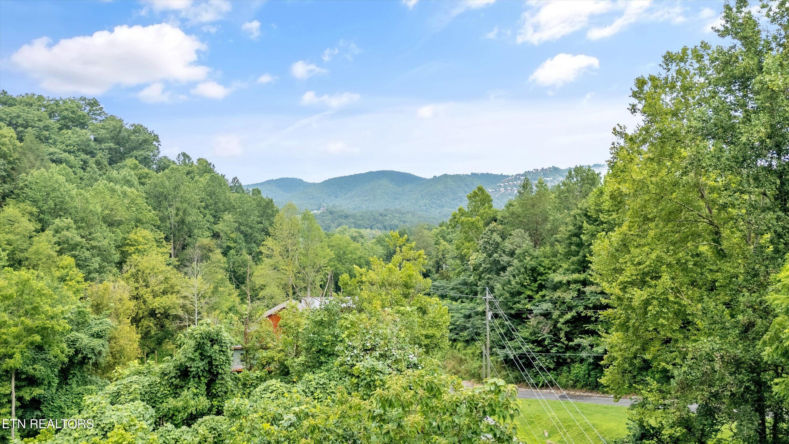 Other - Catons Chapel Rd lot: 30, Sevierville, TN