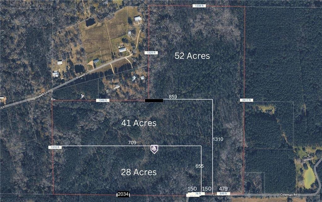 Other - Coleman Road, Robert, LA