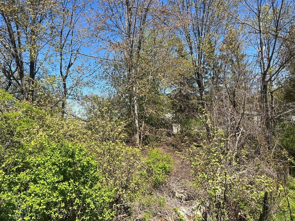 Other - Lot 122 Carman Avenue, Houghton Lake, MI