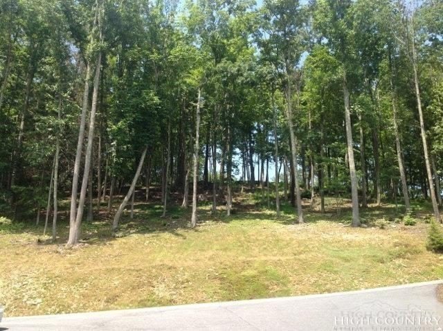 Other - Lot 31 Boulder Cay Road, Boone, NC