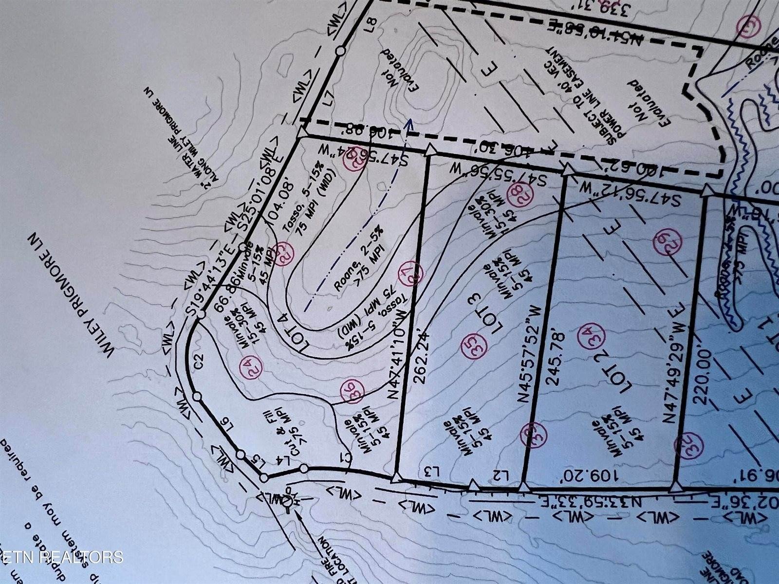 Other - Lot 4 Prigmore Ridge Rd, Decatur, TN