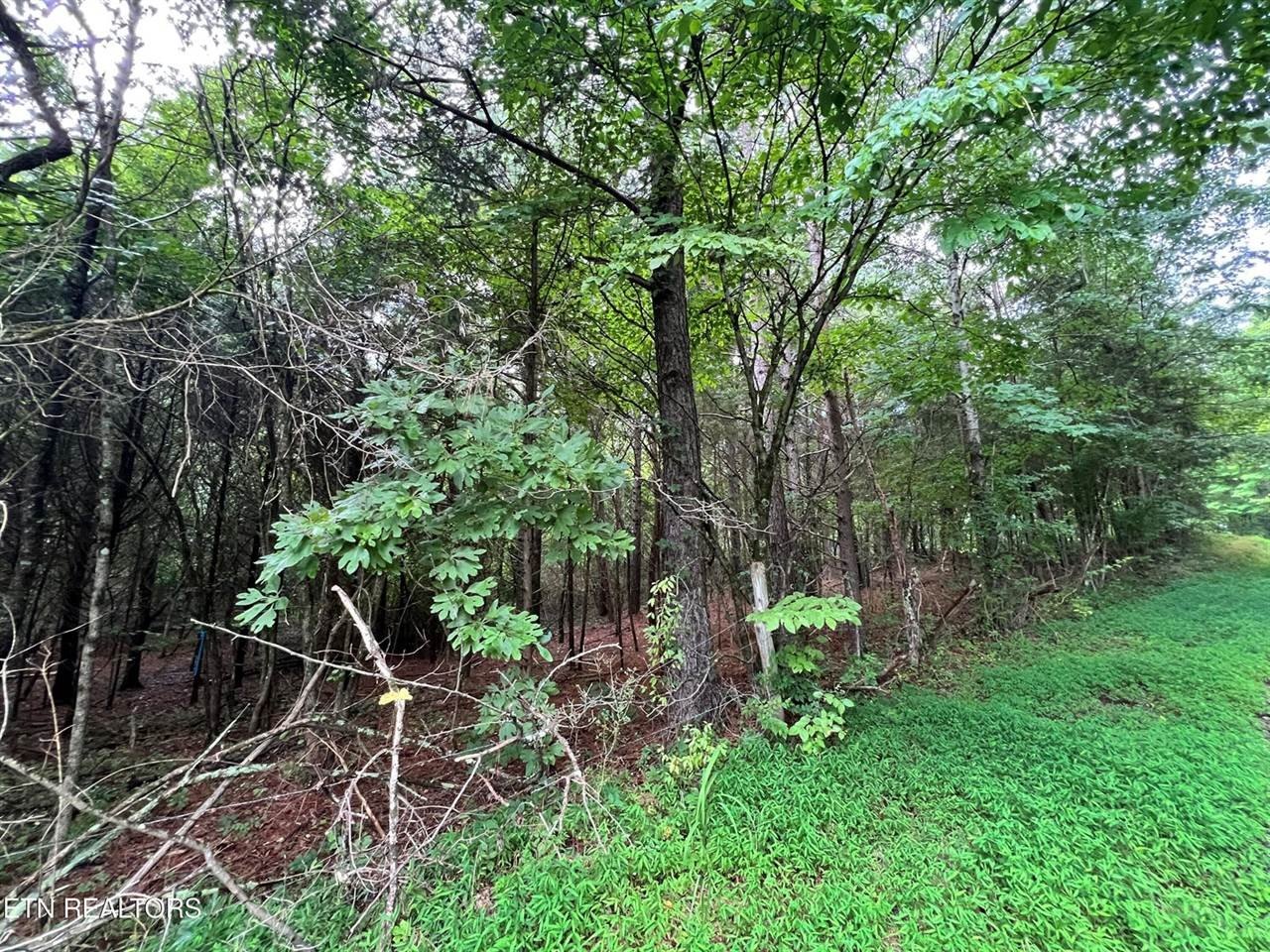 Other - Lot 5 Willie Promore Rd, Decatur, TN