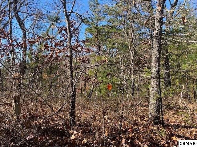Other - Poplar Place lot: 71, Sevierville, TN