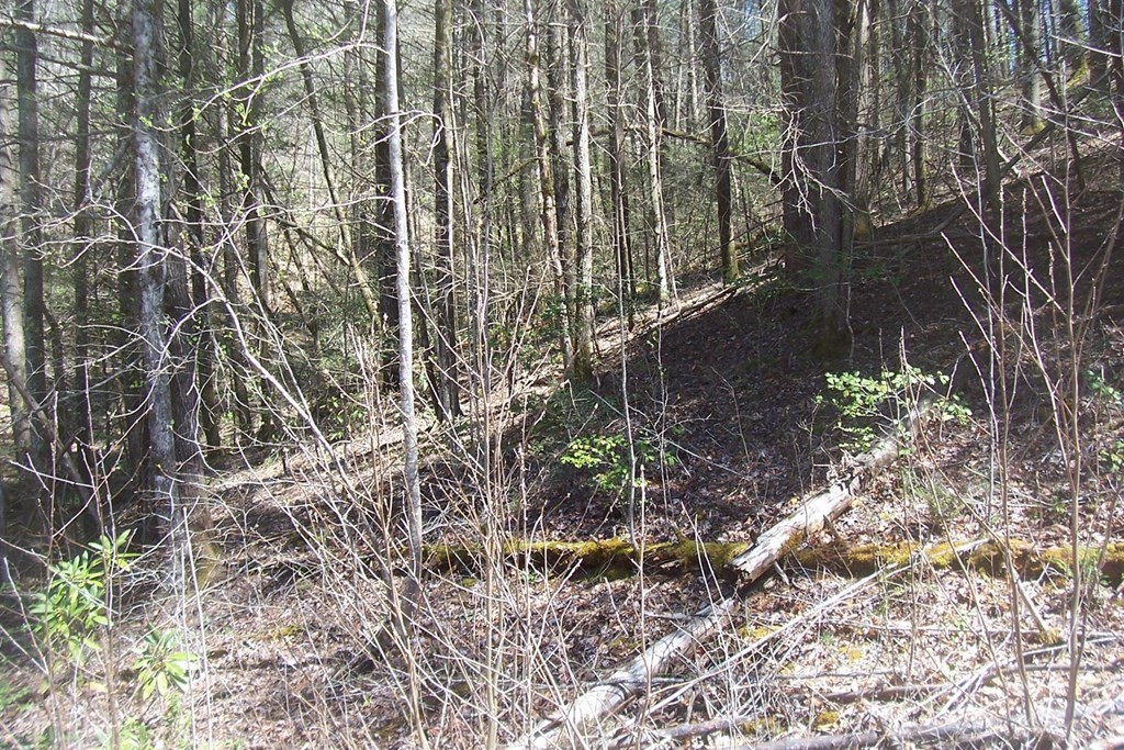 Other - Rail Hill Lane lot: 9, Sevierville, TN
