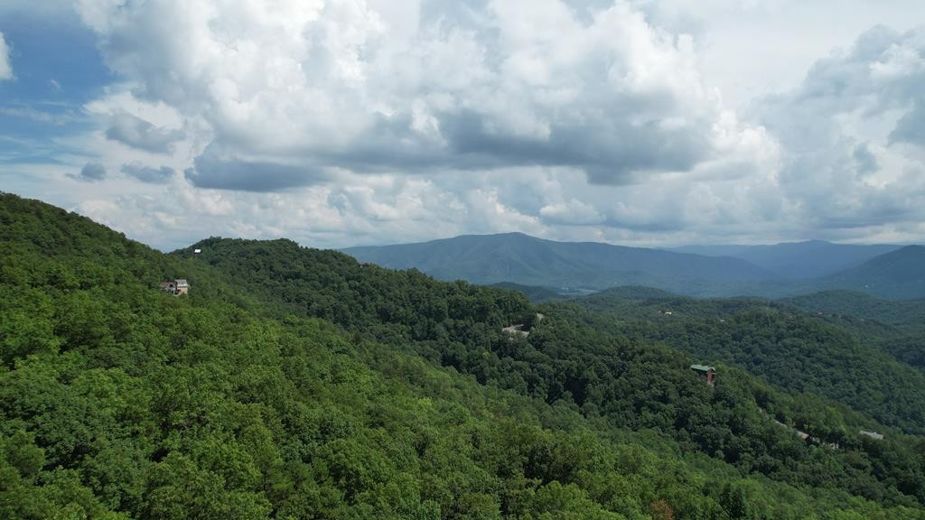 Other - Settlers View Lane lot: 118, Sevierville, TN