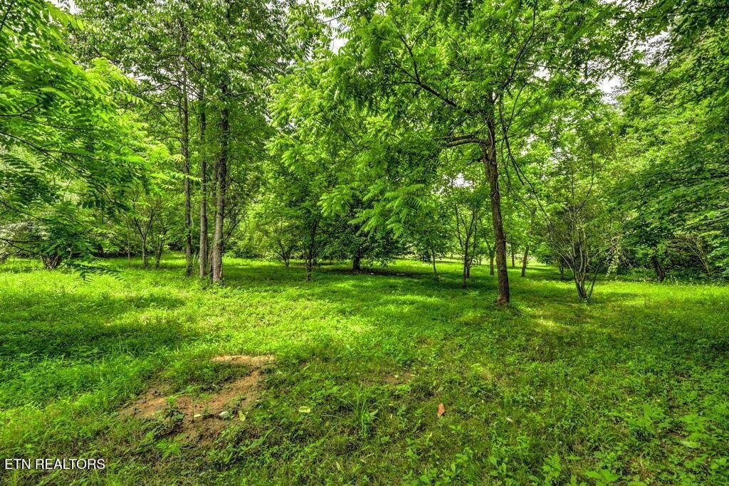 Other - Stone Ridge Drive, Andersonville, TN