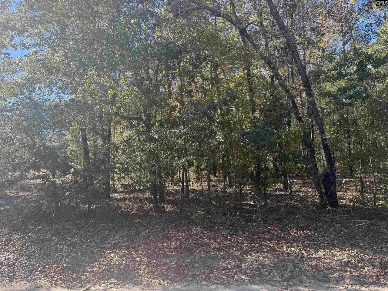 Other - TBD Possum Trail Lot 2, Bamberg, SC