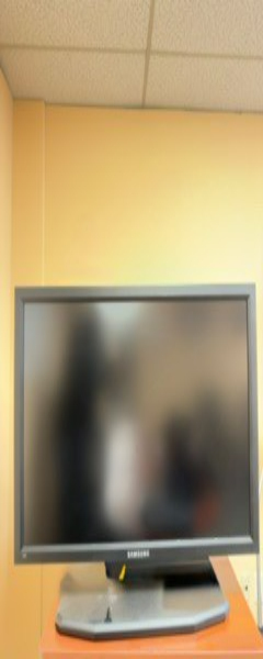 24 LG Computer Monitor