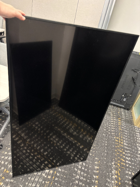 65" Samsung Display