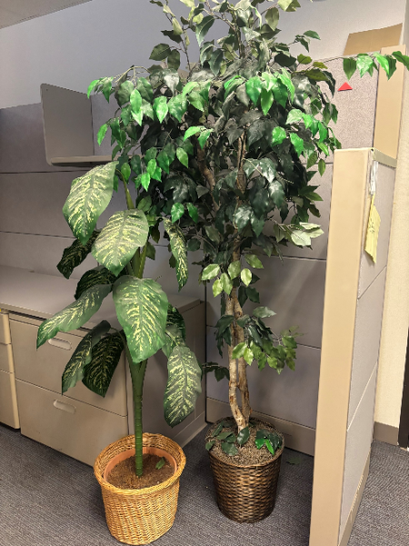 Artificial Plants