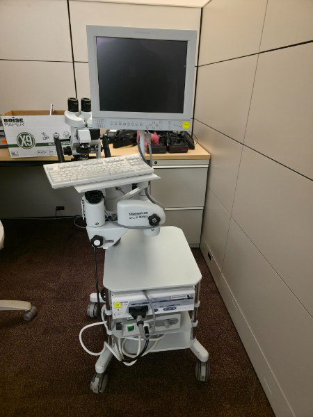 Colposcope