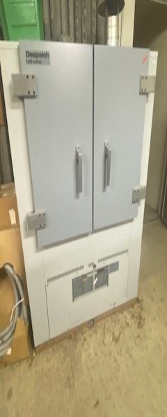 Despatch Drying Oven