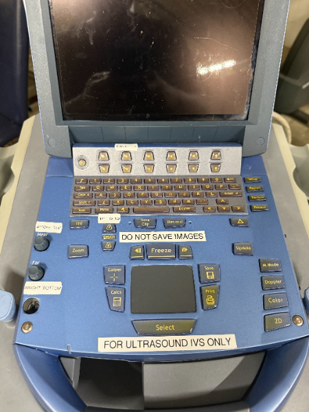 Endocavitary Ultrasound Transducers