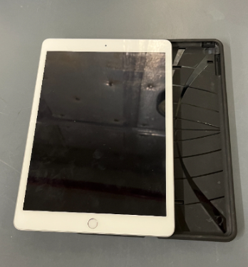 iPad Lot