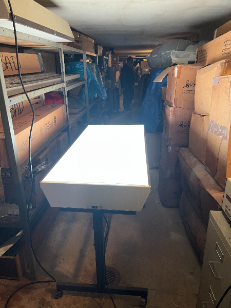 Multiplex Slide Viewing Table