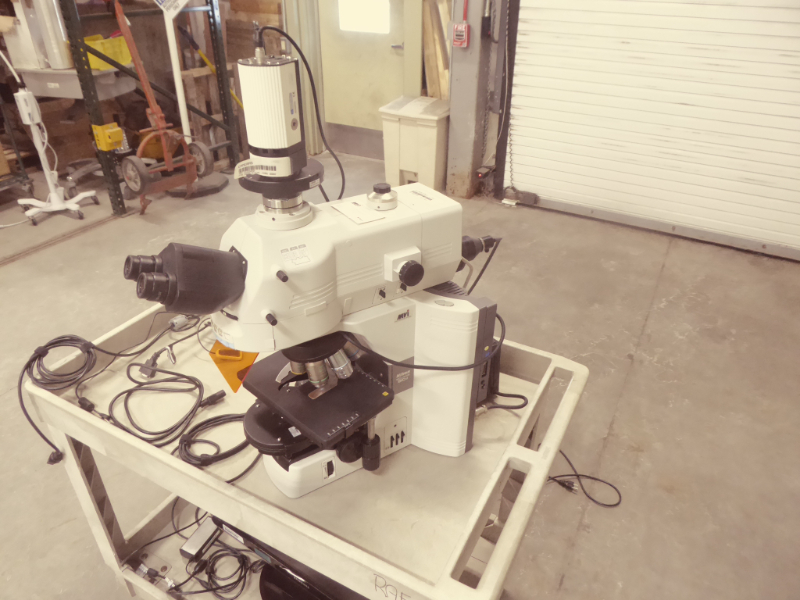 NIKON ECLIPSE 80I MICROSCOPE