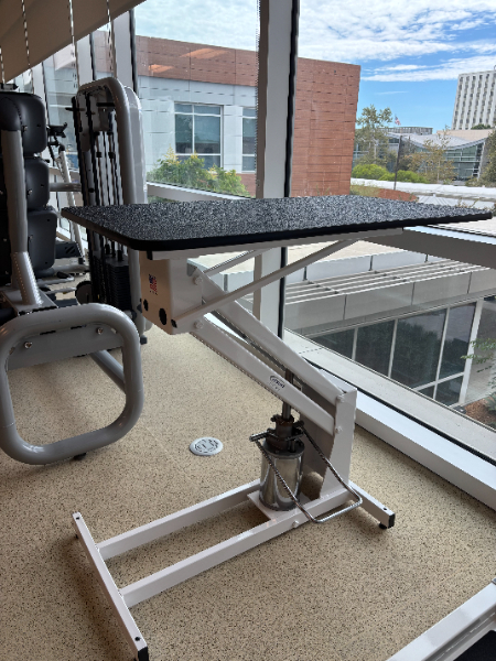 PETLIFT HYDRAULIC GROOMING TABLE