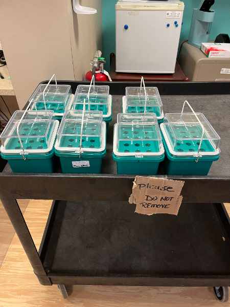 Universal KleenSpec Dispenser Assemblies