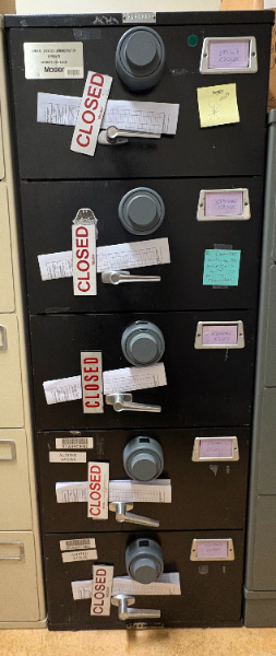 Vertical Mosler Safe