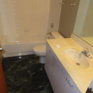 Condo 1BR 1BA - 601 LINDEN PLACE 311, Evanston, IL