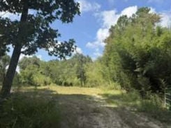 Land - 1341 COPELAND BUCKATUNNA, Millry, AL