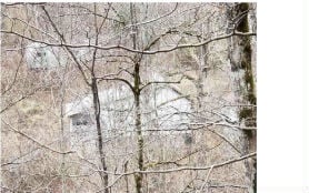 Land - 468 Ginseng Hollow, Dante, VA