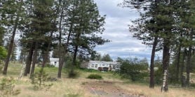 Mobile Home 3BR 2BA - 20003 S MALLOY PRAIRIE RD, Cheney, WA