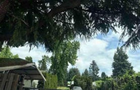 Mobile Home 4BR 2BA - 26026 S MERIDIAN RD, Aurora, OR