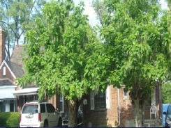Single Family 3BR 1BA - 14846 WHITCOMB, Detroit, MI