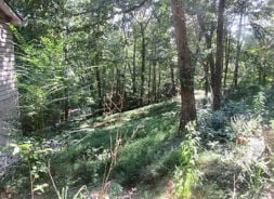 Single Family 3BR 1BA - 88 BRUCE WIKE LANE, Brasstown, NC