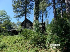 Single Family 3BR 2BA - 10752 JOHN BARLEYCORN RD, Nevada City, CA
