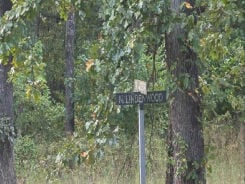 Single Family 3BR 2BA - 108 N LINDENWOOD ST, Shell Knob, MO